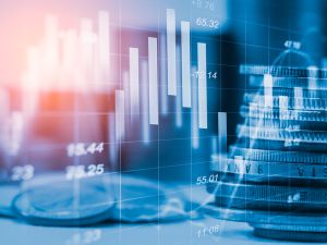 stock market 