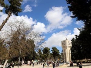الجامعة الأردنية