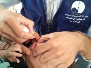 تطعيم شلل أطفال - غزة 