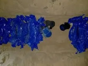 غزة - شهداء 