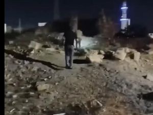 شبان ينظمون مواكب وفرق تفتيشية بحثا عن جنية الكرك 