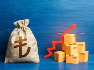 economy 
