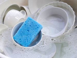 sponges