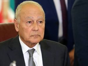 أبو الغيط