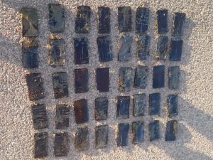 إحباط تهريب