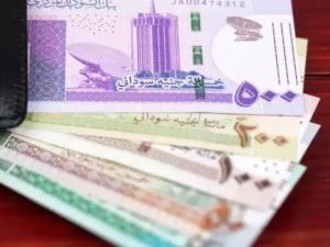 سعر الدولار اليوم في السودان