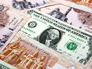 سعر الدولار اليوم في مصر