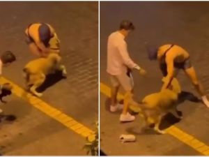 Two tourists arrested in Turkey for attempting to rape a stray dog