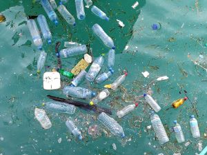 WCM-Q highlights alarming impact of plastic bottled water on human and planetary health