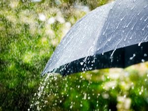 rainfall