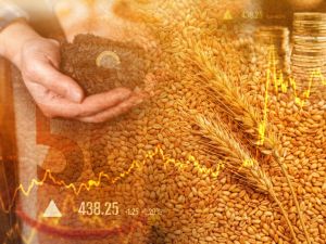 Commodity prices