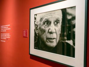 Picasso