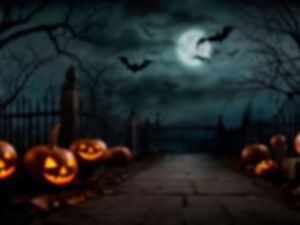 Halloween 2024 