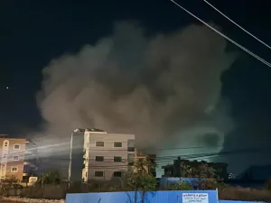 برجا لبنان