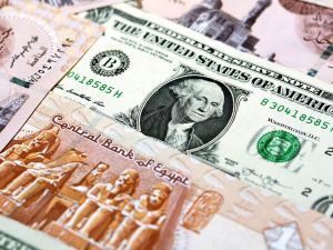 سعر الدولار اليوم في مصر