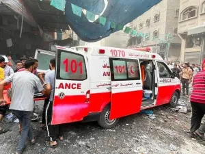 شهداء في غزة 61 شهيدا