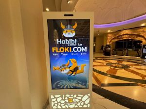 FLOKI Launches Four Week Campaign With WAFI Mall in Dubai