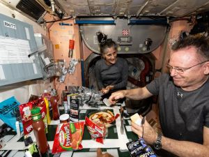 Sunita Williams