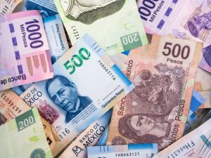 economic 