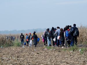 Refugees