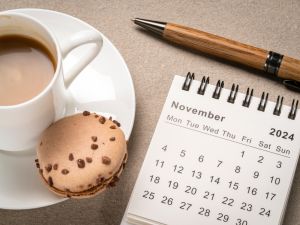 November 2024