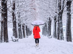 winter