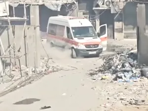 كمال عدوان