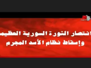 تلفزيون سوريا - سقوط بشار