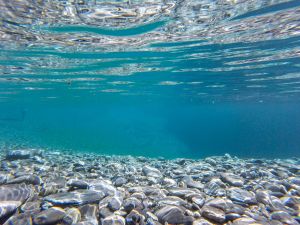 Underwater