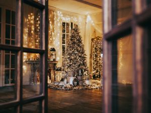 Germany unveils $2.5M golden Christmas tree