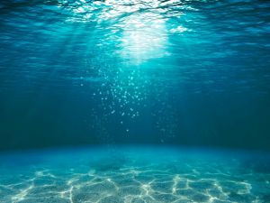water 