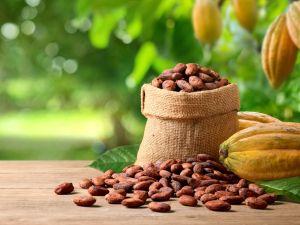 Cocoa