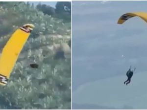 Scary video: Polish woman plunges to her death while skydiving