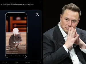 Musk