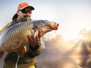 Fish with lips bigger than any cosmetic surgery makes waves online