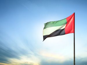 UAE saves $4B with digital transformation of public sector