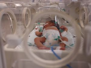 newborn babies