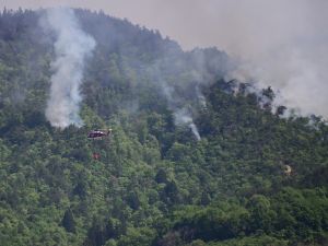 Japan forest fires