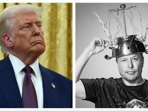 Donald Trump / Elon Musk