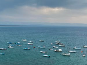 Syria signs new agreement with French company to manage the Port of Latakia