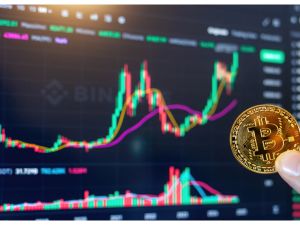أسعار العملات المشفرة مقابل الدولار, المصدر shutterstock