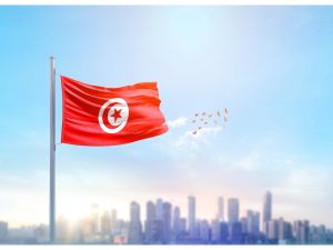 تونس: تخصيص 1.5 مليار دينار لتطوير الأحياء السكنية, المصدر shutterstock