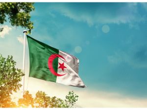 الجزائر: قرض مصغر و17 ألف مستفيد خلال 2024,المصدر shutterstock