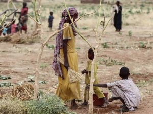 Omdurman and El Fasher clashes