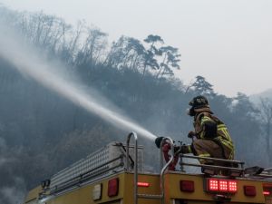 wildfires in South Korea