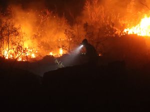 Wild fires erupted in Syria