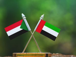 Sudan accuses UAE of genocide complicity as Abu Dhabi denies allegations