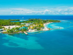 Roatan island: where the wealthy modify their DNA