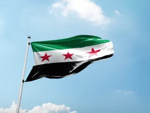 أهم بنود مسودة الإعلان الدستوري السوري
