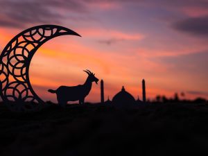 أجمل ما قيل عن العيد في العيد الأضحى المبارك
